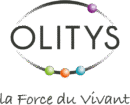 Olytis