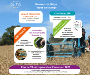 bout de champ juin 2025